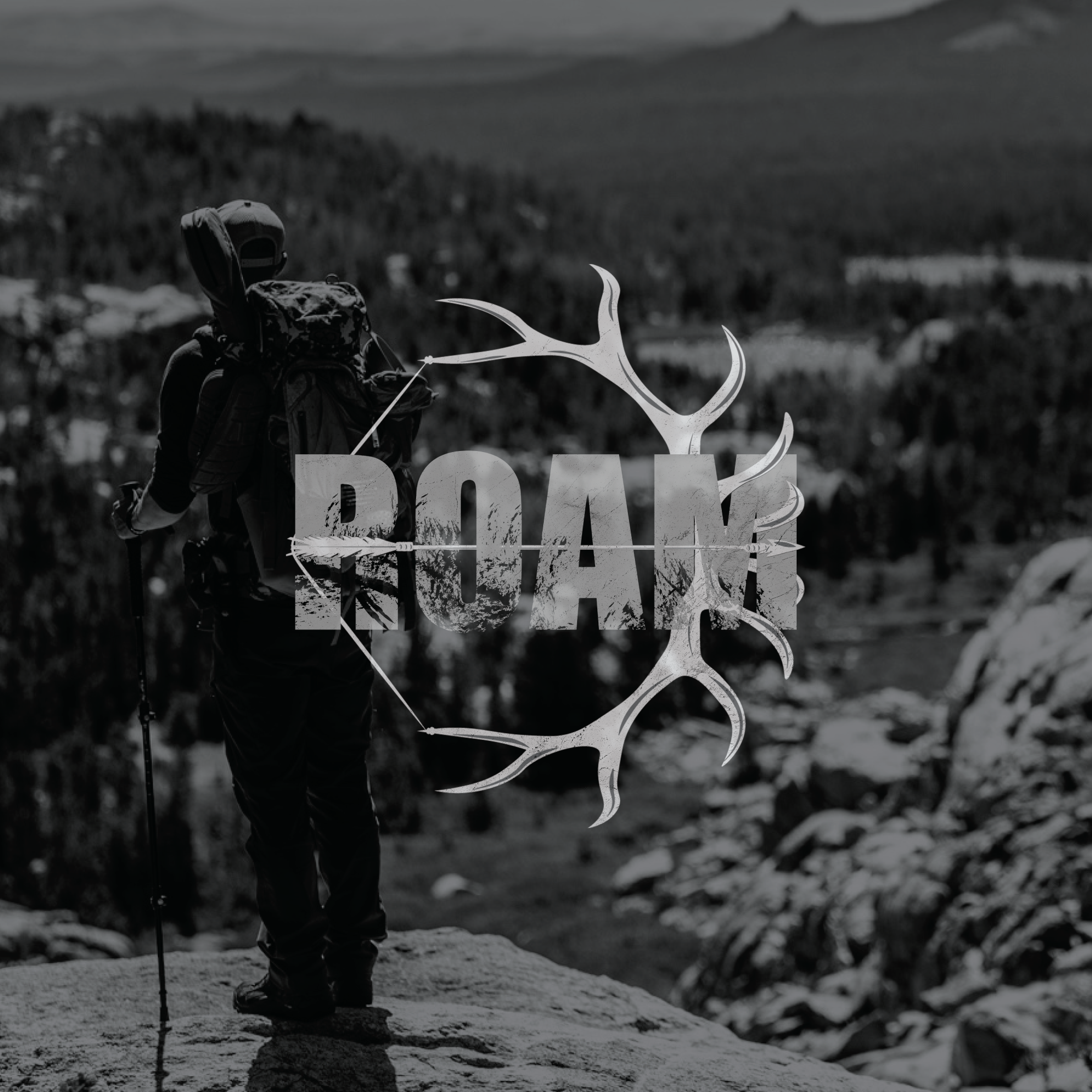 ROAM