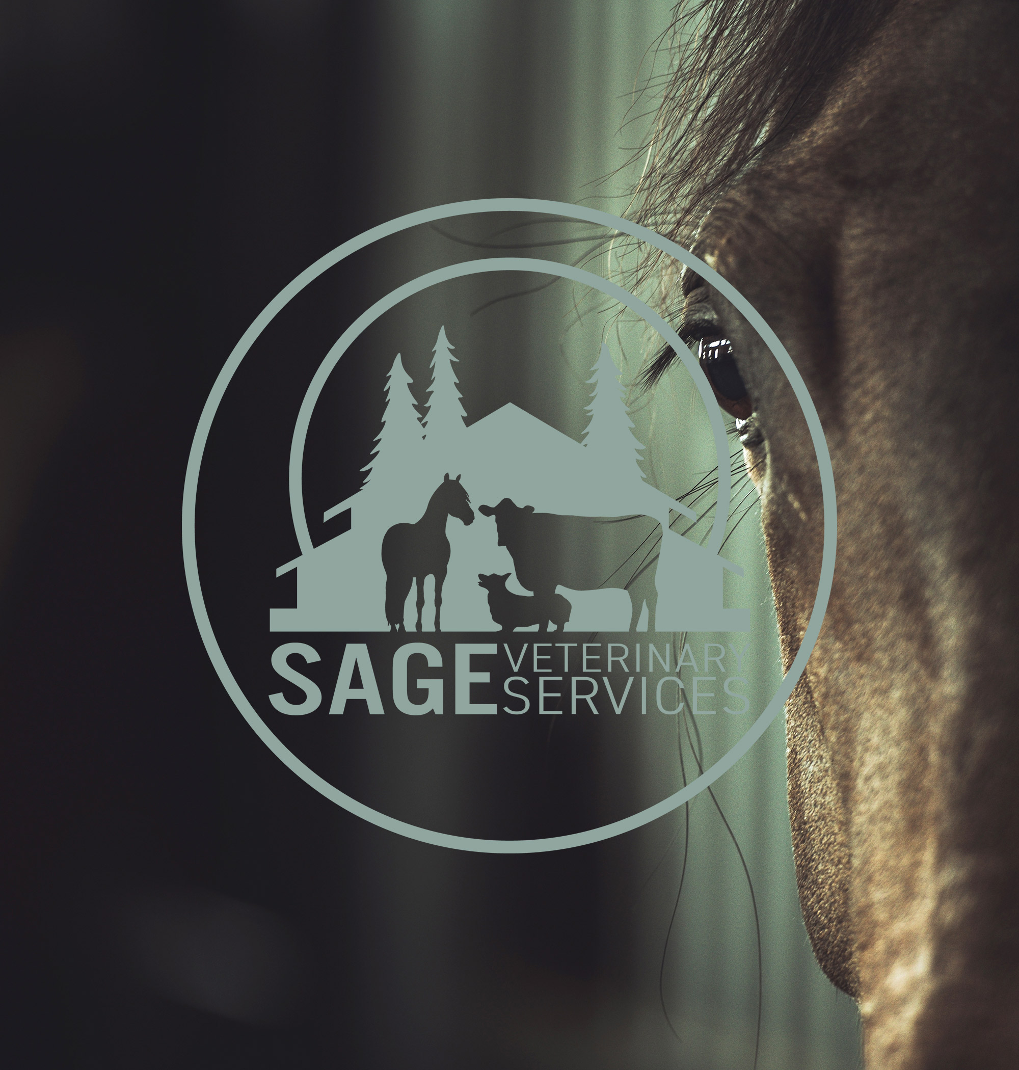 Sage Veterinary Services